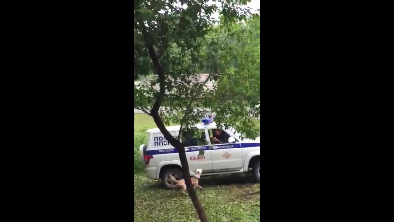 В екатеринбурге ппс расстреляли молодые