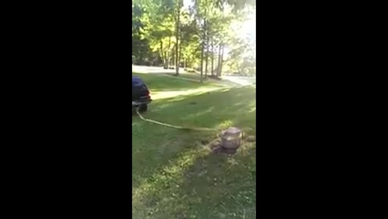 Вырывает пенек