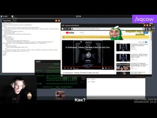 Xqcow | разработчик троллит xqc