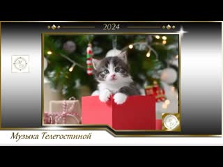 Sweet christmas music for cats🎄chill out your kitten this christmas!