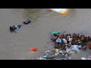 The street dog save her puppies in chennai flood