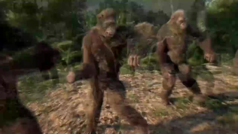 Ержан флексит