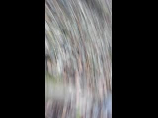 Vid 20191109 100225 mp4