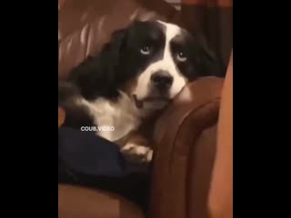 Уставший барон