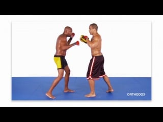 Anderson silva striking combos for mma dvdrip xvid dojo