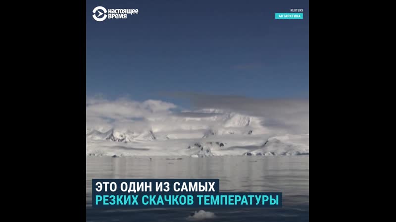 В антарктике выдалось критично теплое лето