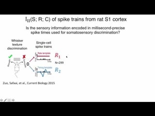 Nips 2017 presentations from the neuroscience session