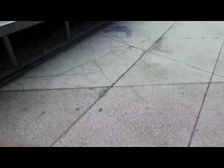 Androvid join 0493 3344 mp4