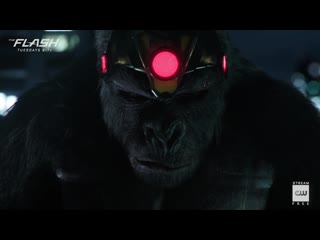 The flash inside king shark vs gorilla grodd the cw