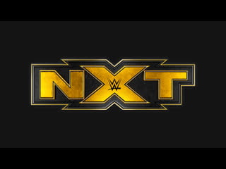 Wwe nxt (11 03 2015)