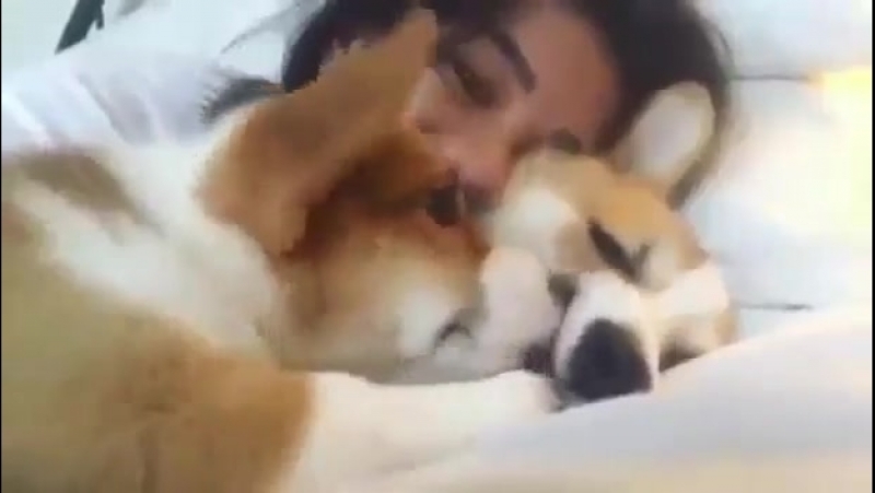 Девушка и довольный молодые 360