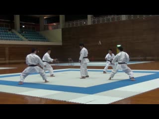 Показательные выступления, ката анан и бункай demonstrations, kata anan and bunkai