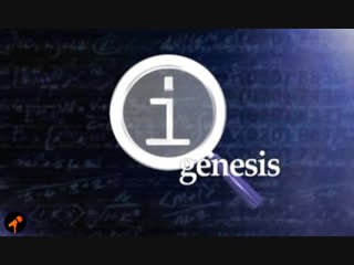 Qi genesis the making of qi (2011) [исправленный]