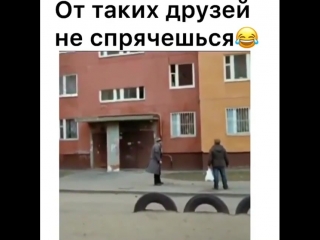 Друганы пришли)