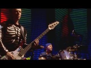 Red hot chili peppers live at slane castle (2003)