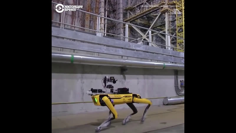 Робо пса boston dynamics отправили в чернобыль