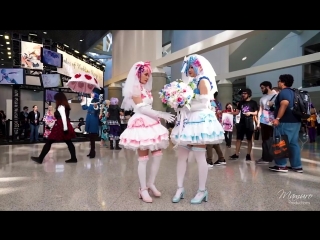 Anime expo cosplay fun