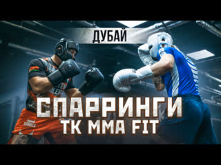 Спарринги в дубае tk mma fit | тренироа white gorilla