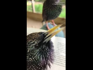 Making some synth patches with this