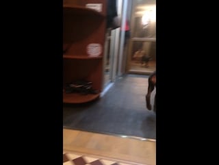 Alkahest la perla 2 months