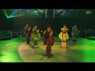 Team syachihoko shanga lang/kemono no hanamichi