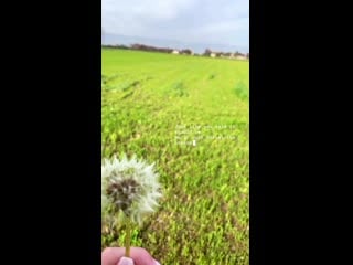 Benedetta caretta 2020 11 08 120453