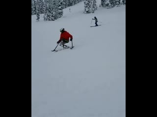 Legless skier