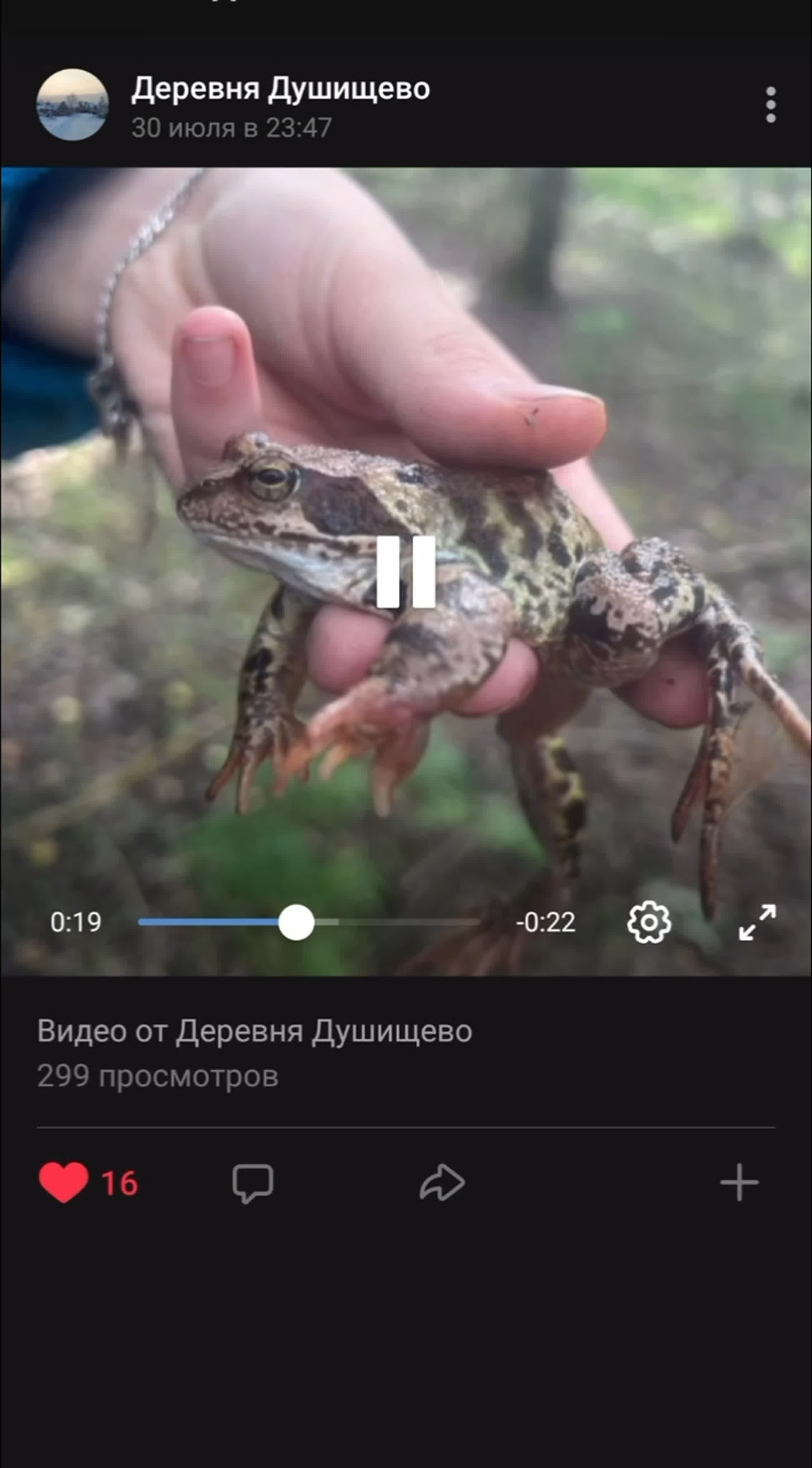 Видео от деревня душищево