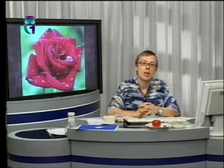 Биоэкология урок 5 влажность