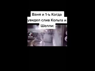 Ваня когда увидел слив кольта и шелли