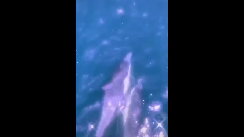 Несквик с пивом