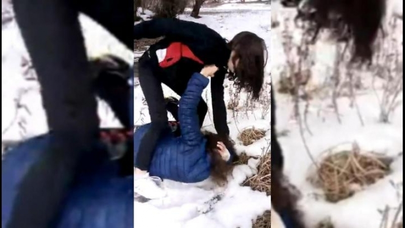 Школьницы избили двух старшеклассниц под волгоградом