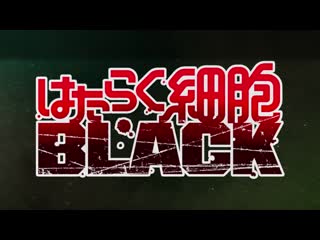 アニメ pv 『cells at work! code black』 teaser