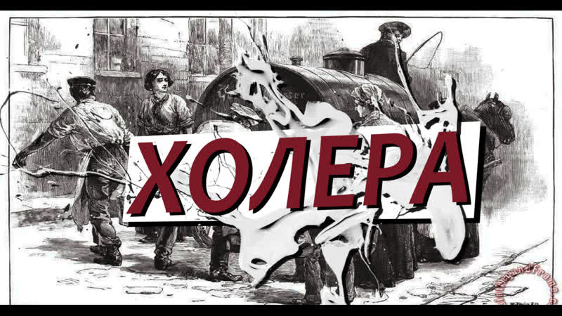 Особо опасные инфекции холера, чума