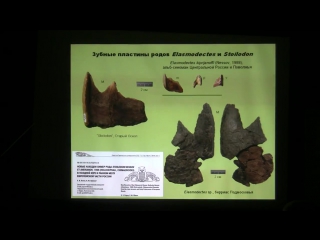 Мезозойские химеры знакомство