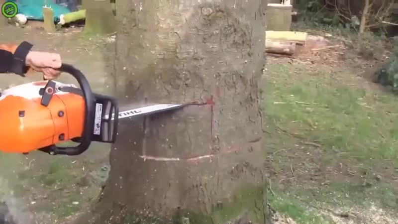 Правильное направление при падении ghfdbkmyjt yfghfdktybt ghb gfltybb ghfdbkmyjt yfghfdktybt ghb gfltybb ghfdbkmyjt yfghfdktybt