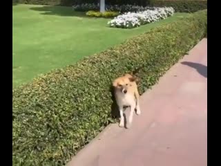 Чёт спина зачесалась