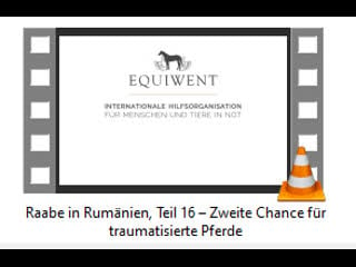 Raabe in rumänien, teil 16 – zweite chance für traumatisierte pferde