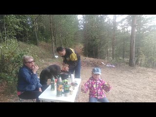 Vid 20190914 142204 mp4