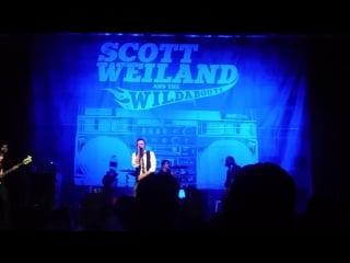 Scott weiland the wildabouts big empty 2015