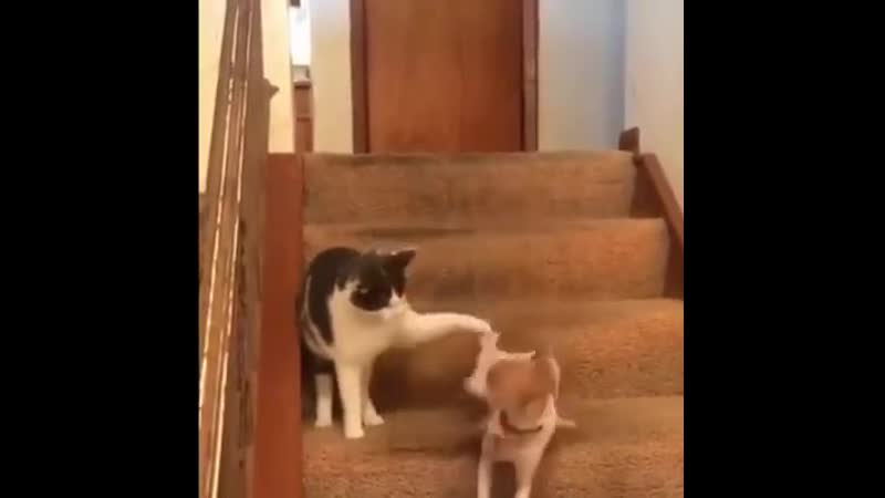 Нажал кнопку ускорения