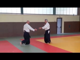 Aikido bruno gonzalez seminar longjumeau, april