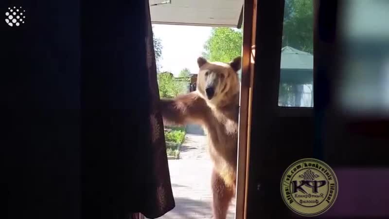 Велком ту раша