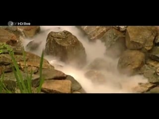 Oonagh (senta sofia delliponti) gäa zdf fernsehgarten (mainz) mit zahlreichen pannen