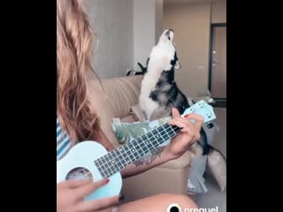 Tomat i tasia video 1579361117010 mp4