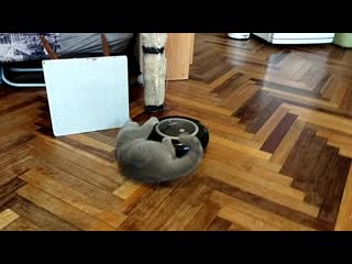 Video 20201017 095334 mp4