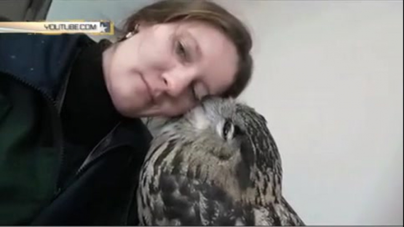 Филин клювом целует хозяйку