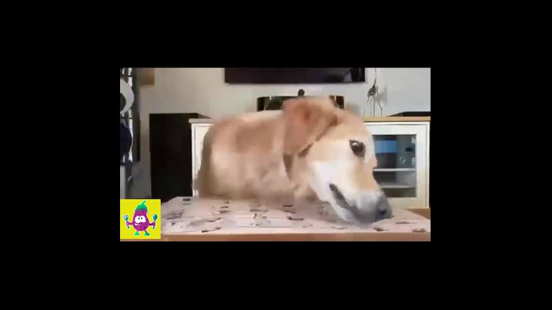 Порадуйте своего