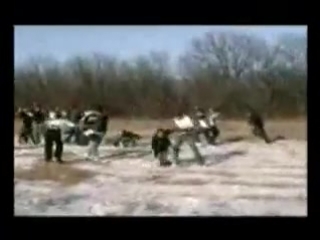 Crazy steeds v s west band