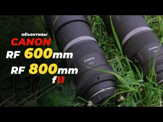 Супертелеобъективы rf 600mm f/11 is stm и rf 800mm f/11 is stm